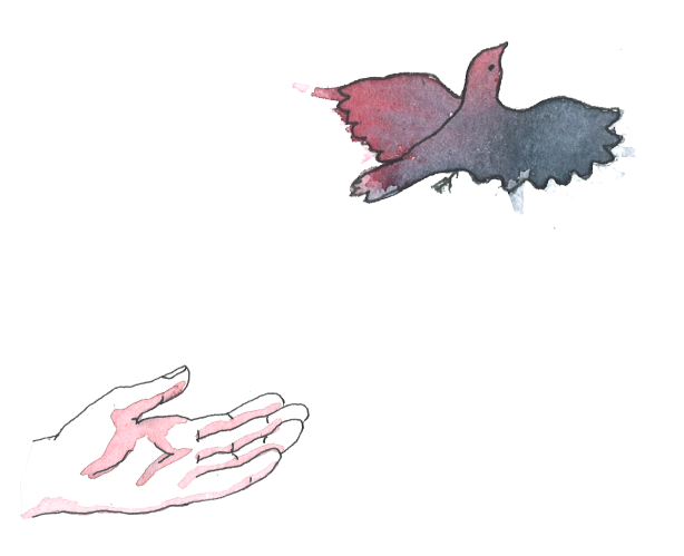 Illustration av öppen hand som släpper iväg en fågel som flyger